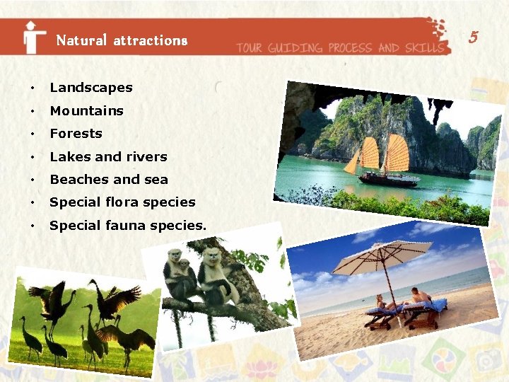 Natural attractions • Landscapes • Mountains • Forests • Lakes and rivers • Beaches