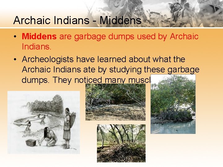 Archaic Indians - Middens • Middens are garbage dumps used by Archaic Indians. •