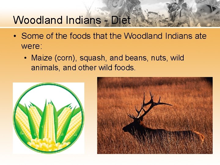 Woodland Indians - Diet • Some of the foods that the Woodland Indians ate