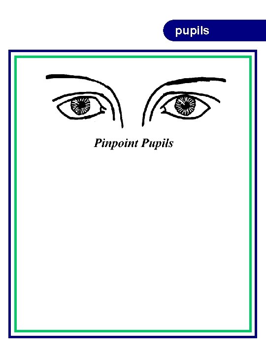 pupils pupils