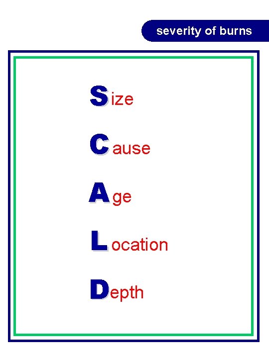 severity of burns S ize C ause A ge L ocation Depth severity of burns S ize C ause A ge L ocation Depth