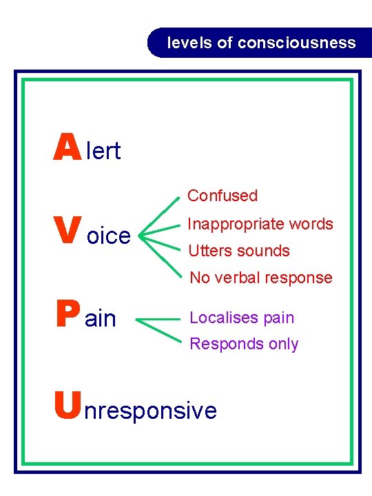 levels of consciousness A lert V oice P ain Confused Inappropriate words Utters sounds levels of consciousness A lert V oice P ain Confused Inappropriate words Utters sounds