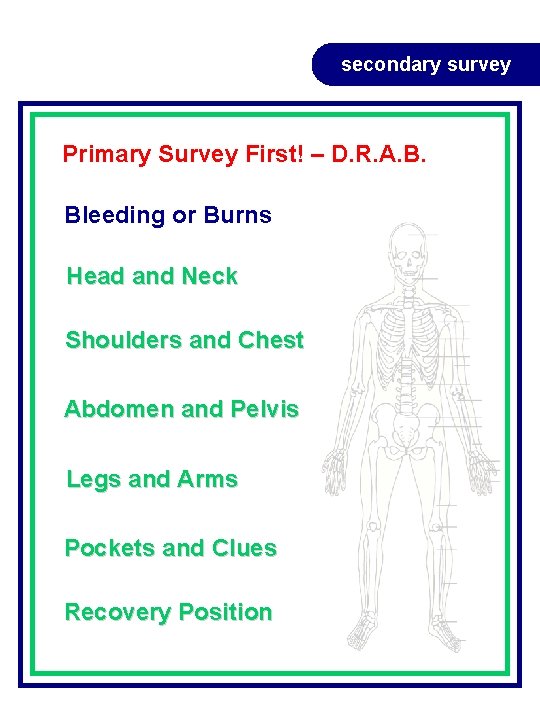 secondary survey Primary Survey First! – D. R. A. B. Bleeding or Burns Head secondary survey Primary Survey First! – D. R. A. B. Bleeding or Burns Head