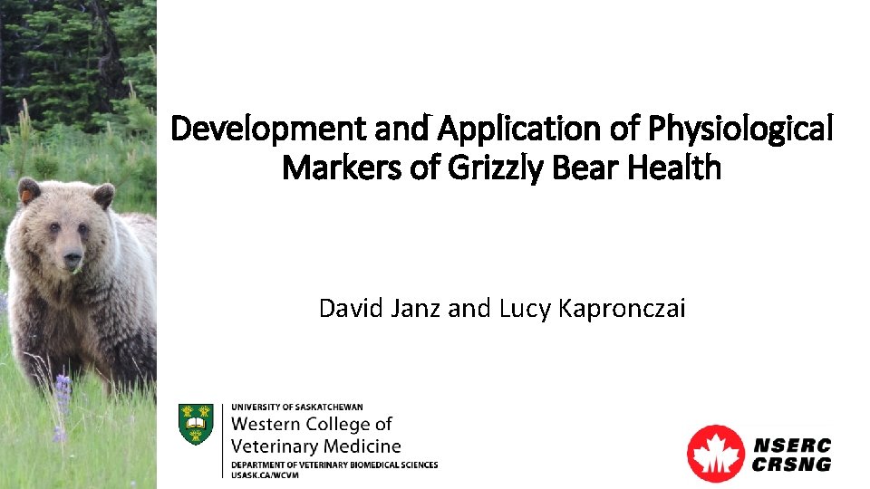 Development and Application of Physiological Markers of Grizzly Bear Health David Janz and Lucy