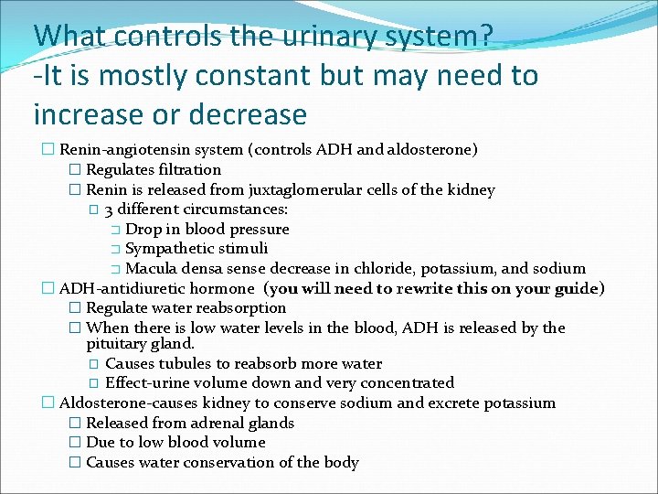 What controls the urinary system? -It is mostly constant but may need to increase What controls the urinary system? -It is mostly constant but may need to increase