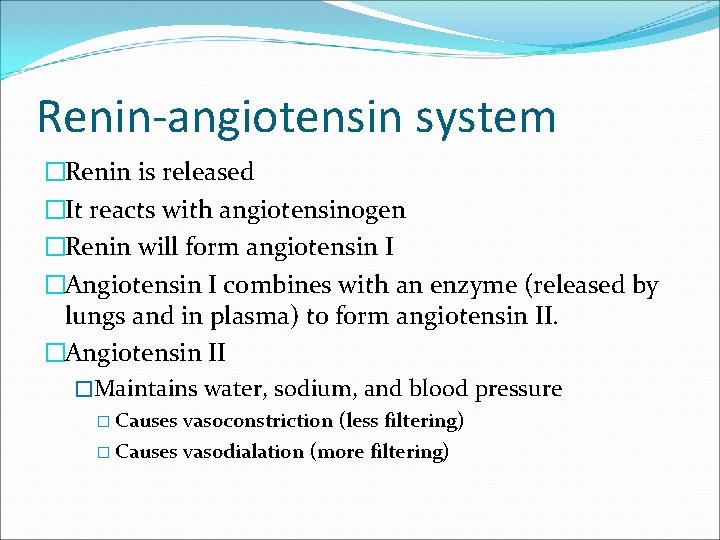 Renin-angiotensin system �Renin is released �It reacts with angiotensinogen �Renin will form angiotensin I