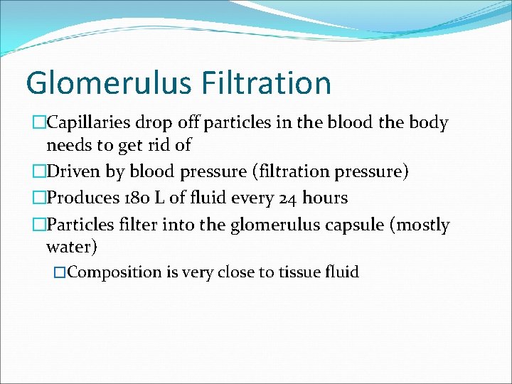 Glomerulus Filtration �Capillaries drop off particles in the blood the body needs to get