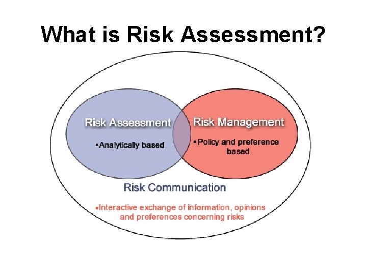 What is Risk Assessment? 