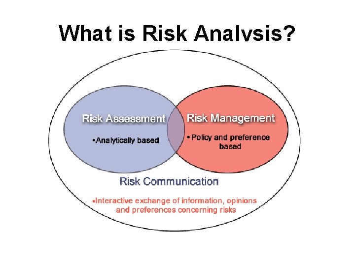 What is Risk Analysis? 