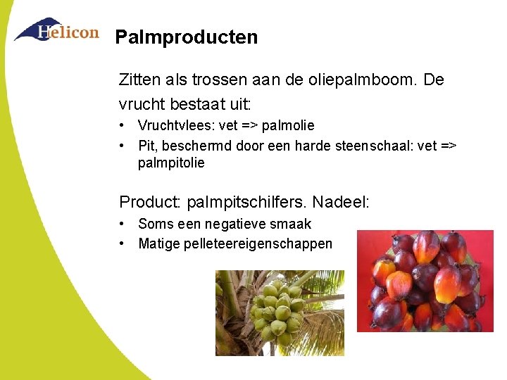 Palmproducten Zitten als trossen aan de oliepalmboom. De vrucht bestaat uit: • Vruchtvlees: vet