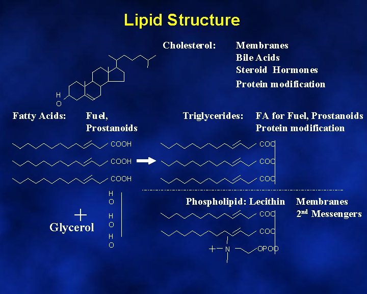 Lipid Structure Cholesterol: Membranes Bile Acids Steroid Hormones Protein modification H O Fatty Acids: