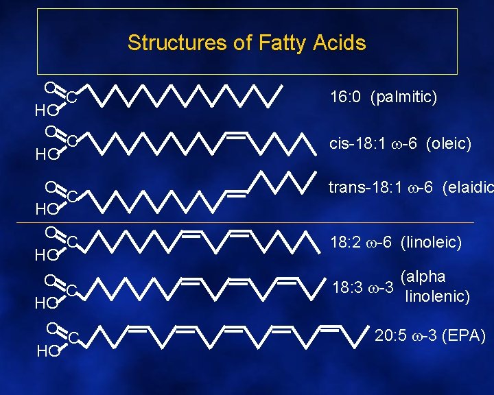 Structures of Fatty Acids O C HO 16: 0 (palmitic) cis-18: 1 -6 (oleic)