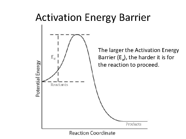 Activation Energy Barrier The larger the Activation Energy Barrier (Ea), the harder it is