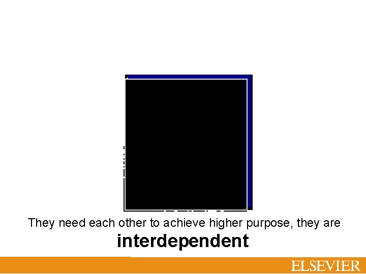 Why is it so important? They need each other to achieve higher purpose, they