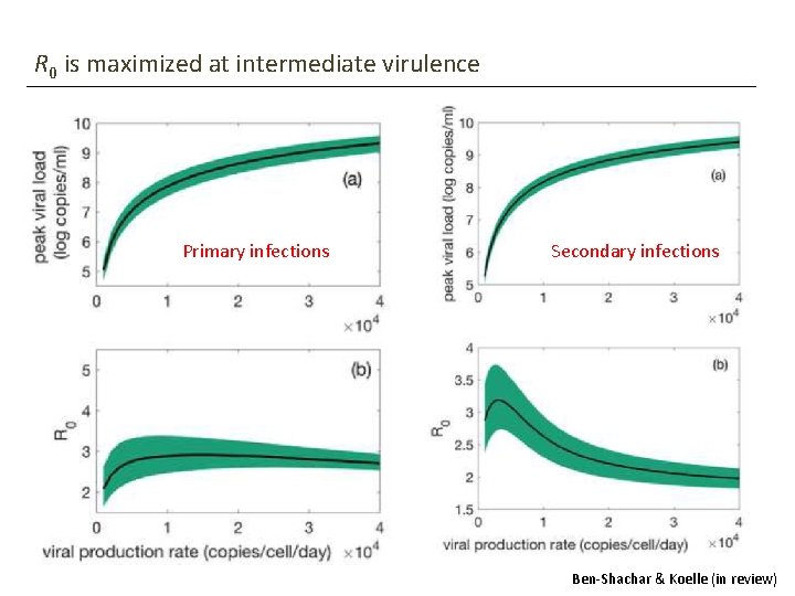 R 0 is maximized at intermediate virulence Primary infections Secondary infections x Ben-Shachar &