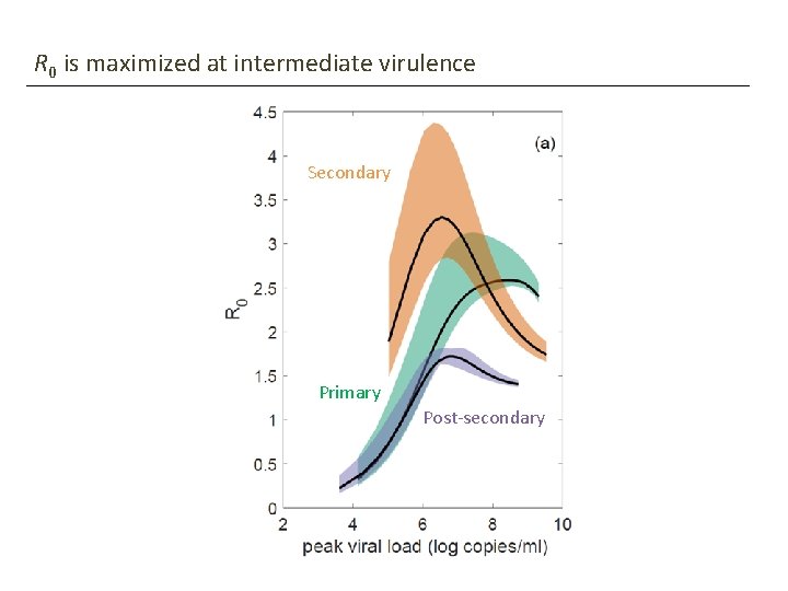 R 0 is maximized at intermediate virulence Secondary Primary Post-secondary x R 0 is maximized at intermediate virulence Secondary Primary Post-secondary x