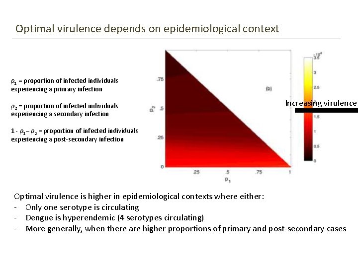 Optimal virulence depends on epidemiological context p 1 = proportion of infected individuals experiencing