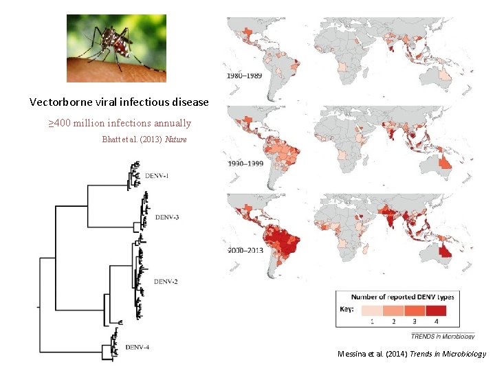 Figure 5 Vectorborne viral infectious disease ≥ 400 million infections annually Bhatt et al.