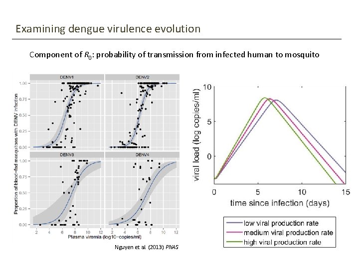 Examining dengue virulence evolution Component of R 0: probability of transmission from infected human