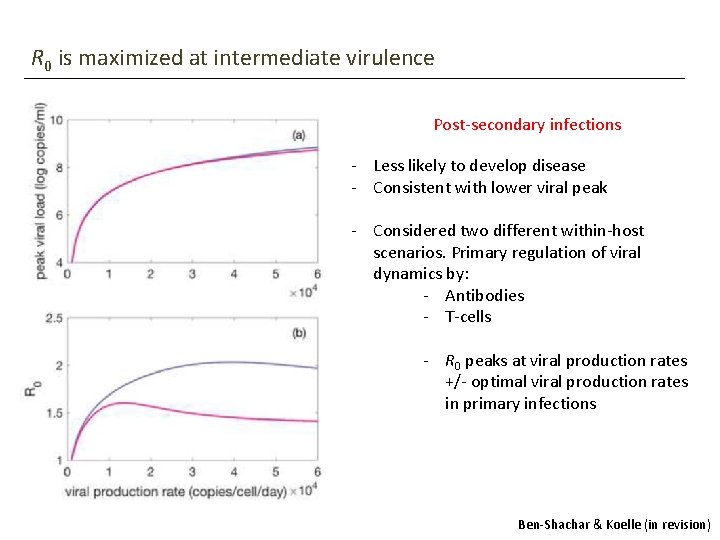 R 0 is maximized at intermediate virulence Post-secondary infections - Less likely to develop