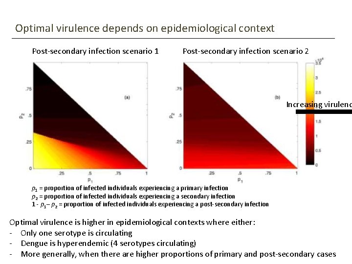 Optimal virulence depends on epidemiological context Post-secondary infection scenario 1 Post-secondary infection scenario 2