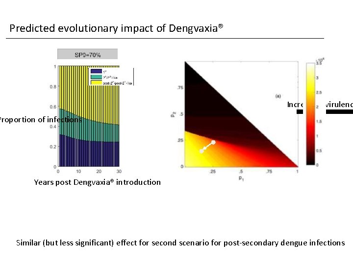 Predicted evolutionary impact of Dengvaxia® Increasing virulenc Proportion of infections Years post Dengvaxia® introduction