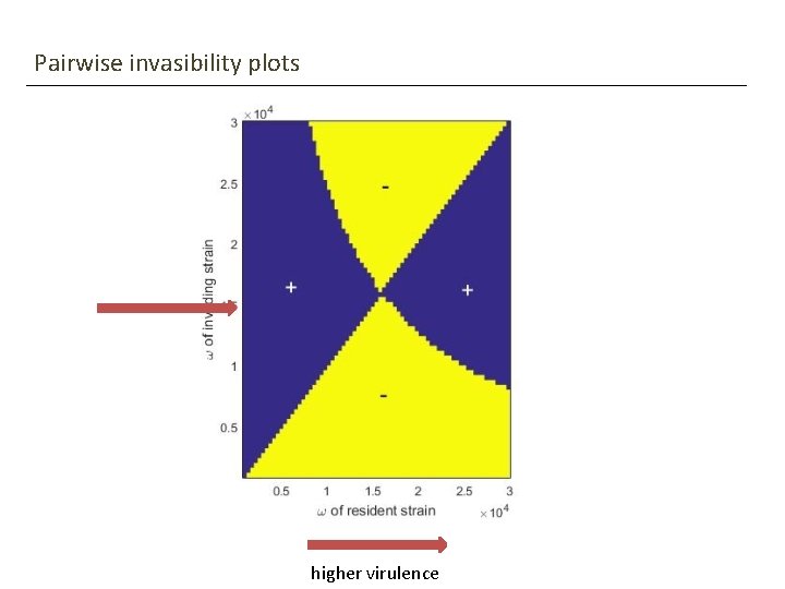 Pairwise invasibility plots higher virulence 