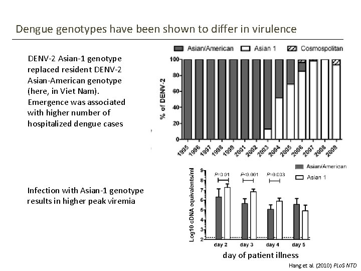 Dengue genotypes have been shown to differ in virulence DENV-2 Asian-1 genotype replaced resident