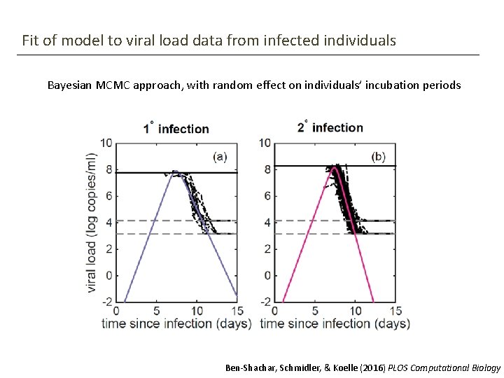 Fit of model to viral load data from infected individuals Bayesian MCMC approach, with