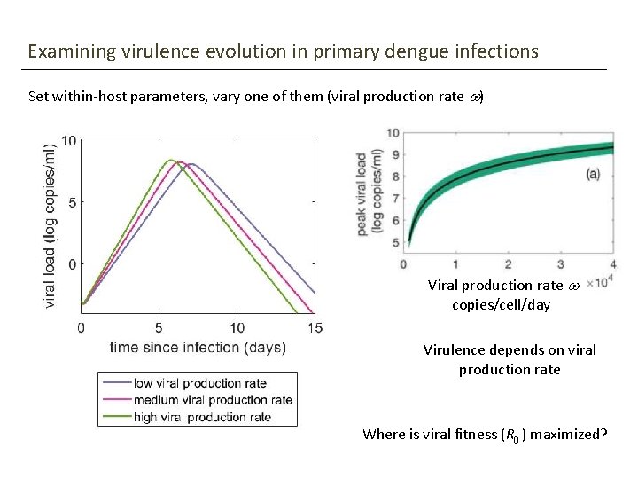 Examining virulence evolution in primary dengue infections Set within-host parameters, vary one of them