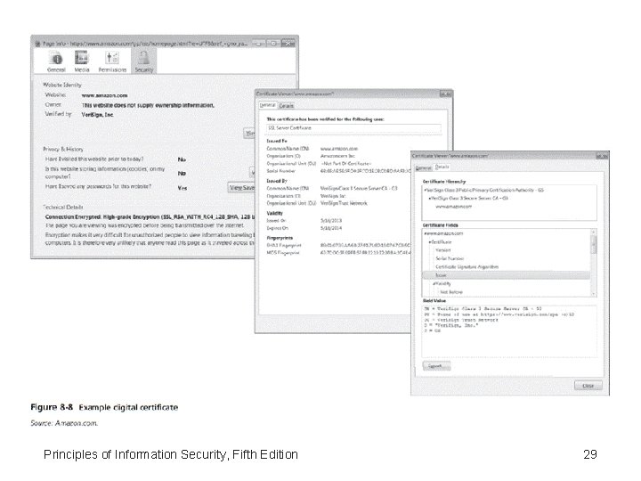 Principles of Information Security, Fifth Edition 29 