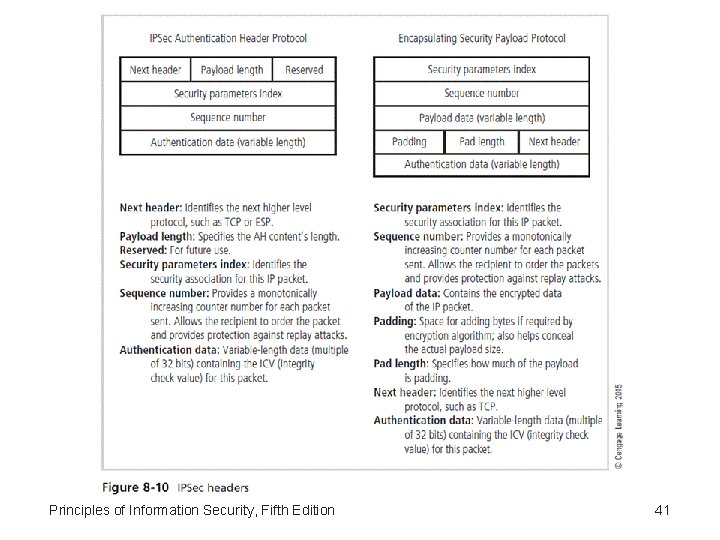 Principles of Information Security, Fifth Edition 41 