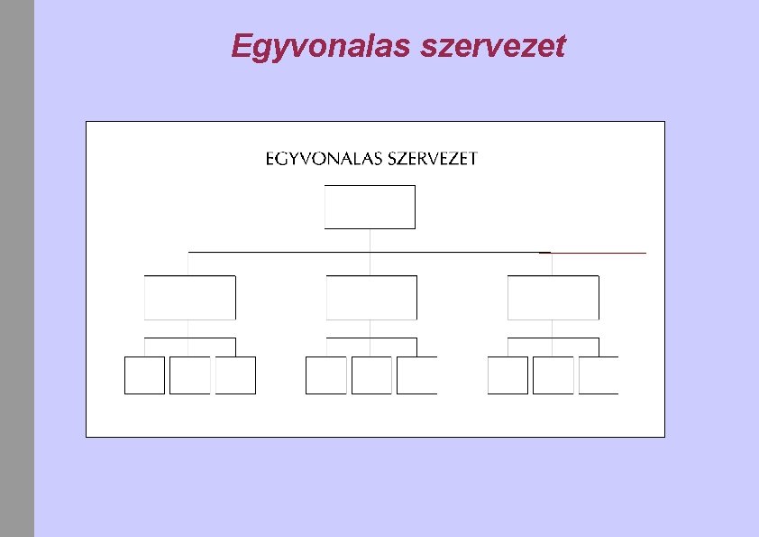 Egyvonalas szervezet 