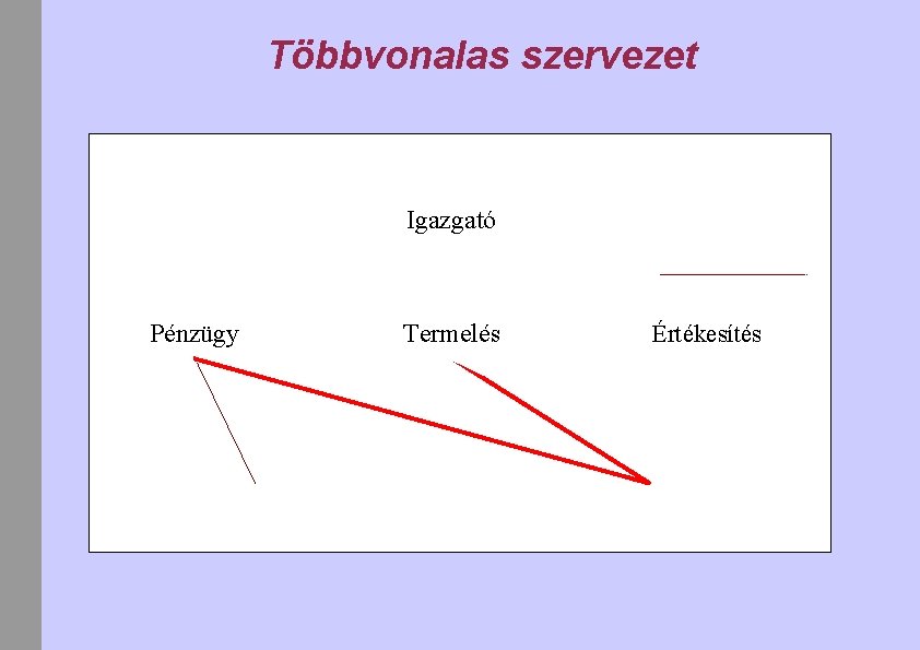 Többvonalas szervezet Igazgató Pénzügy Termelés Értékesítés 