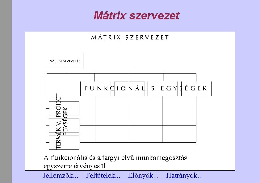 Mátrix szervezet A funkcionális és a tárgyi elvű munkamegosztás egyszerre érvényesül Jellemzők. . .