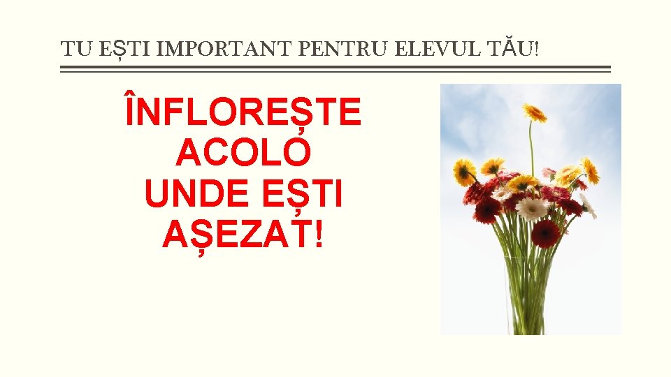 TU EȘTI IMPORTANT PENTRU ELEVUL TĂU! ÎNFLOREȘTE ACOLO UNDE EȘTI AȘEZAT! 