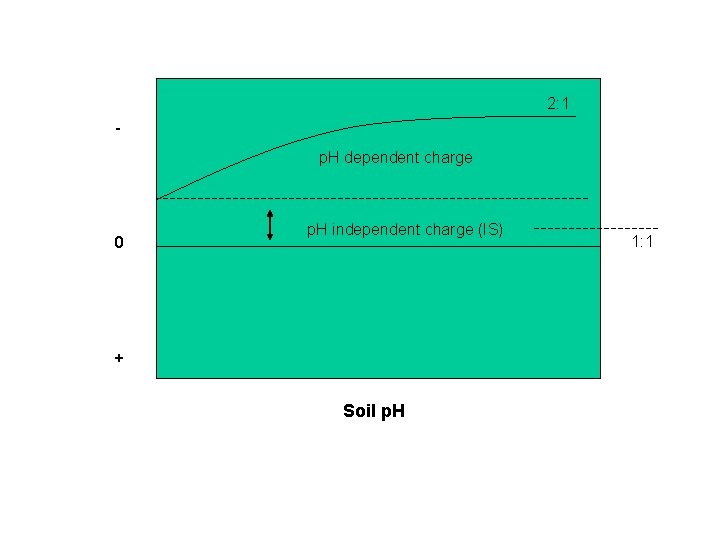 2: 1 p. H dependent charge 0 p. H independent charge (IS) + Soil