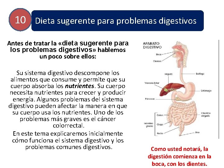 10 Dieta sugerente para problemas digestivos Antes de tratar la «dieta sugerente para los