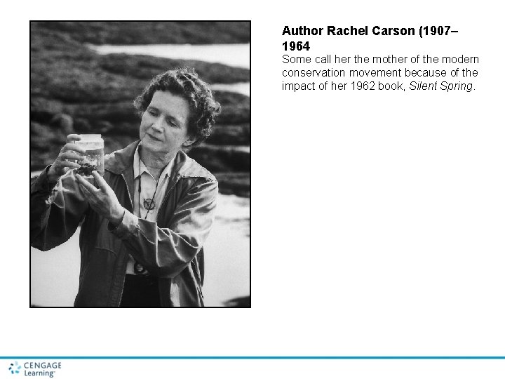Author Rachel Carson (1907– 1964 Some call her the mother of the modern conservation Author Rachel Carson (1907– 1964 Some call her the mother of the modern conservation