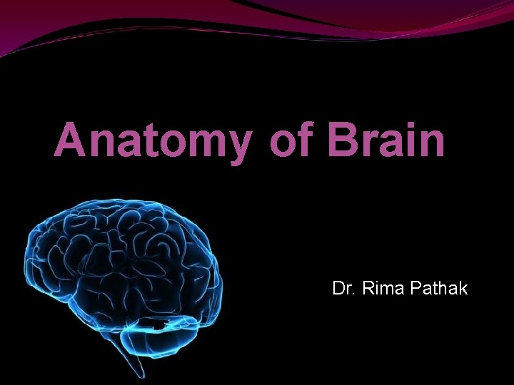 Anatomy of Brain Dr. Rima Pathak 