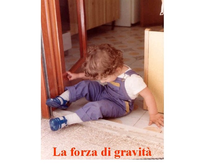 La forza di gravità La forza di gravità
