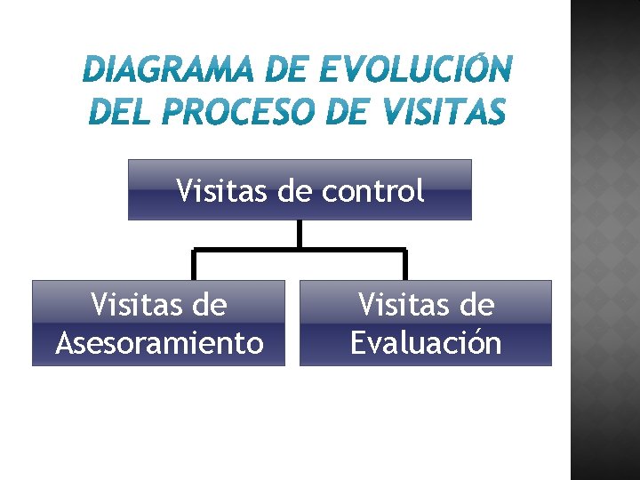 Visitas de control Visitas de Asesoramiento Visitas de Evaluación 