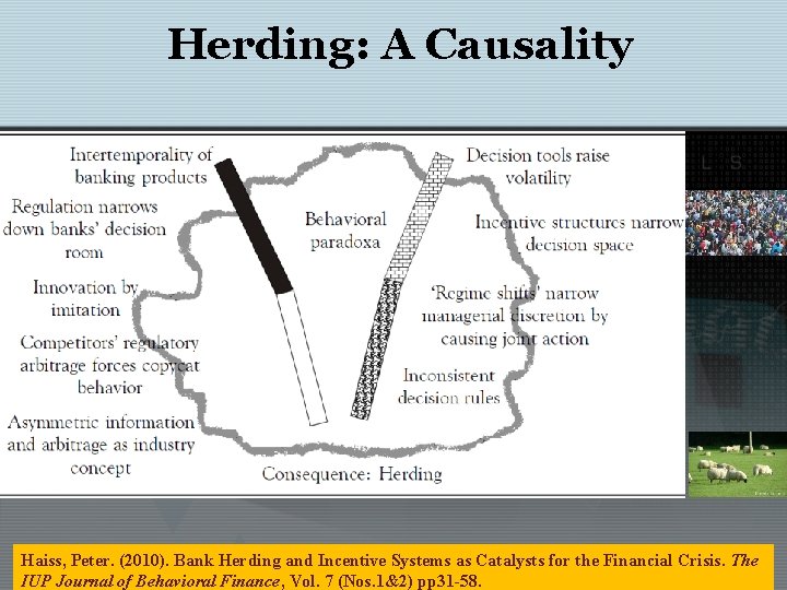 Herding: A Causality Haiss, Peter. (2010). Bank Herding and Incentive Systems as Catalysts for