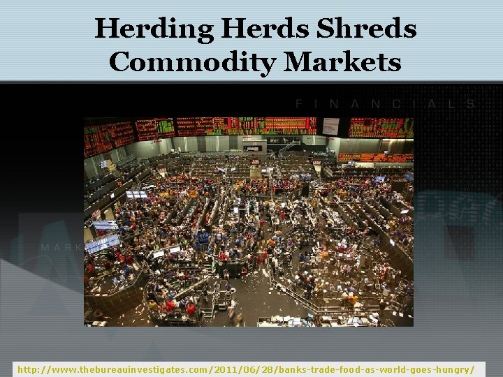 Herding Herds Shreds Commodity Markets http: //www. thebureauinvestigates. com/2011/06/28/banks-trade-food-as-world-goes-hungry/ 