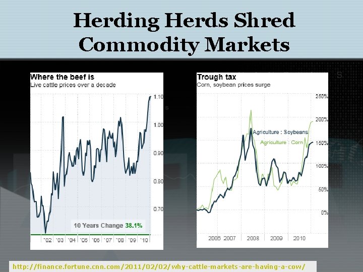 Herding Herds Shred Commodity Markets http: //finance. fortune. cnn. com/2011/02/02/why-cattle-markets-are-having-a-cow/ 