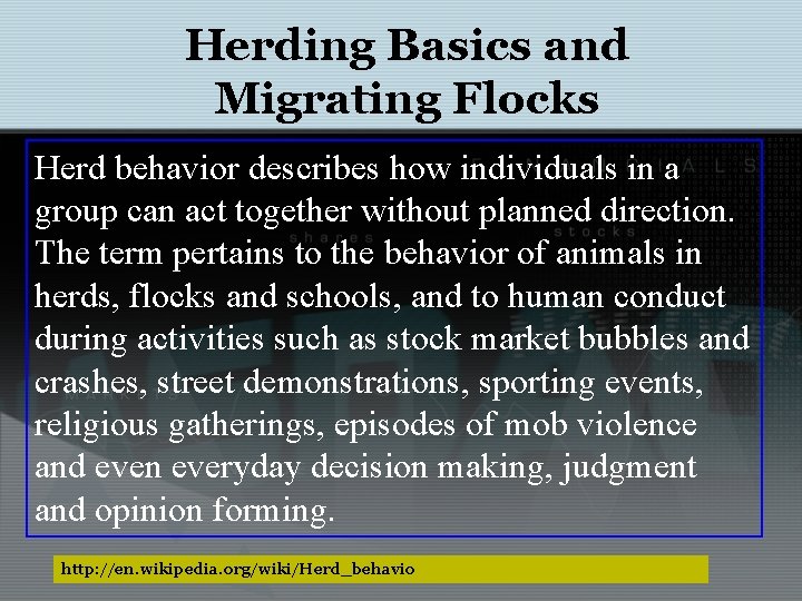 Herding Basics and Migrating Flocks Herd behavior describes how individuals in a group can