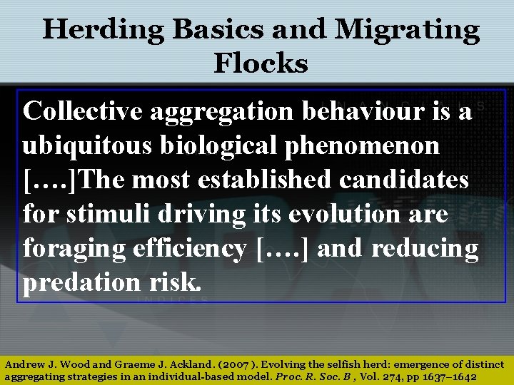 Herding Basics and Migrating Flocks Collective aggregation behaviour is a ubiquitous biological phenomenon [….