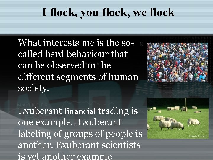 I flock, you flock, we flock What interests me is the socalled herd behaviour