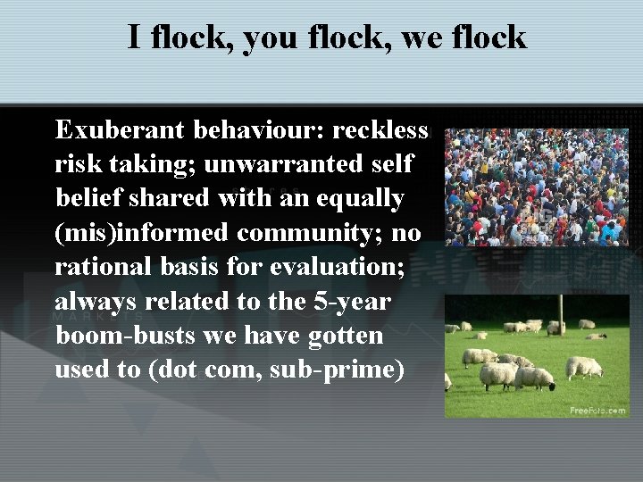 I flock, you flock, we flock Exuberant behaviour: reckless risk taking; unwarranted self belief