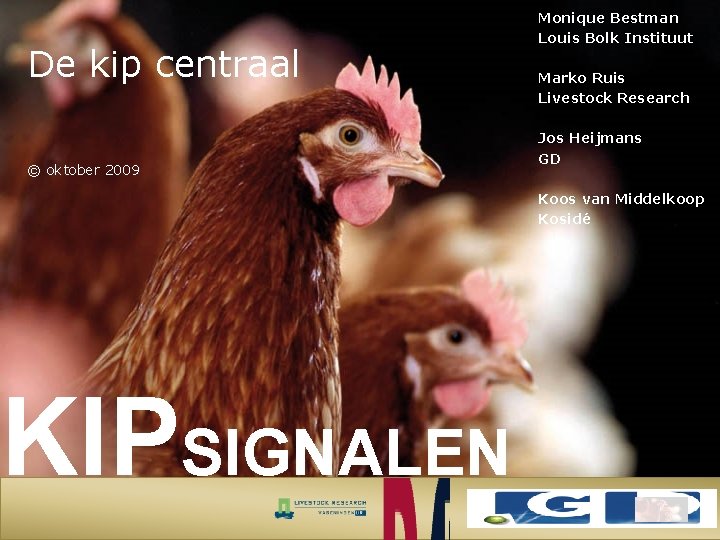 De kip centraal © oktober 2009 Monique Bestman Louis Bolk Instituut Marko Ruis Livestock